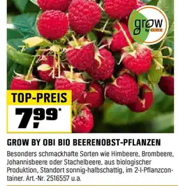 OBI Grow by obi bio beerenobst-pflanzen Angebot