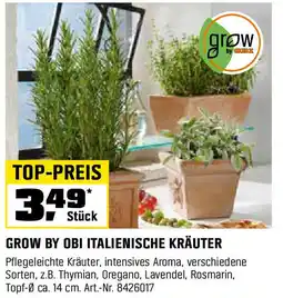 OBI Grow by obi italienische kräuter Angebot