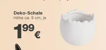 KiK Deko-schale Angebot