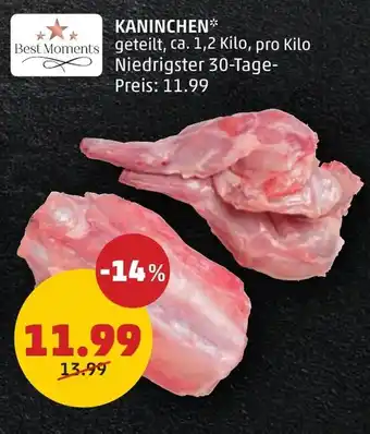 PENNY Kaninchen Angebot