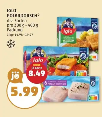 PENNY Polardorsch Angebot