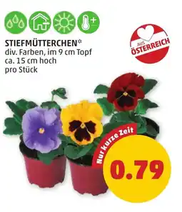 PENNY STIEFMÜTTERCHEN Angebot