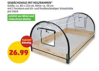 PENNY Gewächshaus mit holzrahmen Angebot