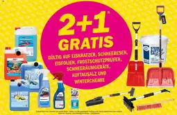 Forstinger ANTIFROST KLARSICHT Angebot