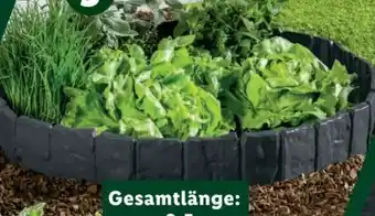 Lidl Parkside Beeteinfassung Angebot