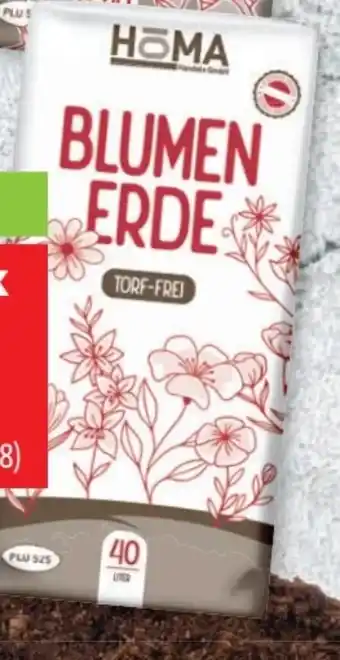 Lidl Höma Blumenerde Angebot