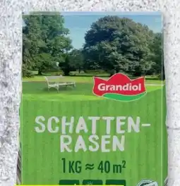 Lidl Grandiol Schattenrasen Angebot