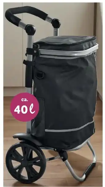 Lidl TopMove Einkaufstrolley Angebot