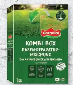 Lidl Grandiol Rasenreparaturmischung Angebot