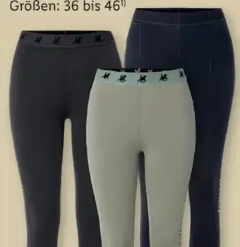 Lidl Esmara Damen Leggings Angebot