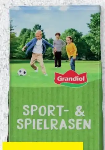 Lidl Grandiol Sport-Spielrasen Angebot