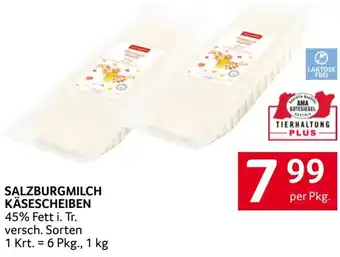 Transgourmet Käsescheiben Angebot