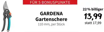 Der Grissemann Gartenschere Angebot