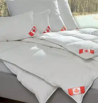 Matratzen Concord Dreikammerpolster Angebot