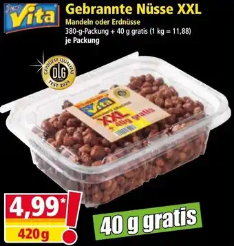 Norma Gebrannte Nüsse Angebot