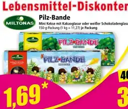 Norma Pilz-Bande Angebot