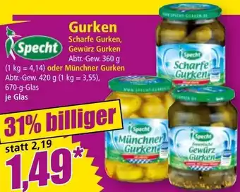 Norma Gurken Angebot