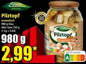 Norma Pilztopf Angebot