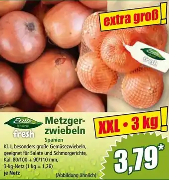 Norma Metzger- zwiebeln Angebot