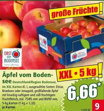 Norma Apfel Angebot