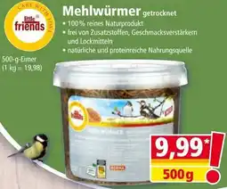 Norma Mehlwürmer Angebot