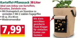 Norma Kartoffel-Pflanzsack Angebot