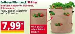 Norma Erdbeer-Pflanzsack Angebot