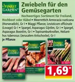 Norma Zwiebeln für den Gemüsegarten Angebot