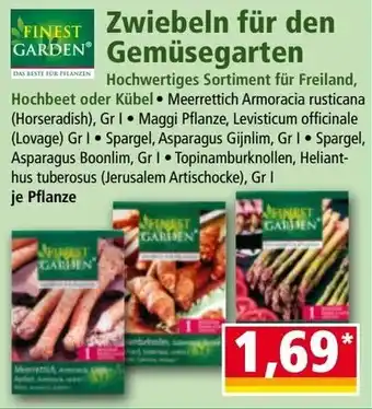 Norma Zwiebeln für den Gemüsegarten Angebot