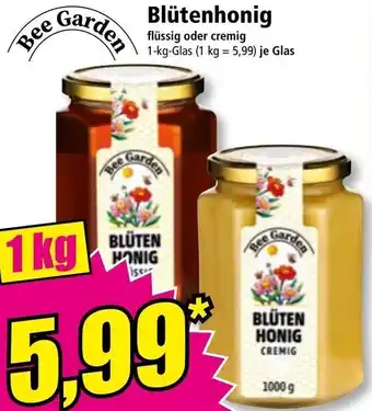 Norma Blüten honig Angebot