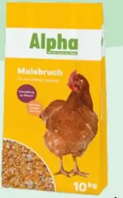 Lagerhaus Alpha Maisbruch Angebot