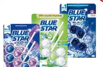 Transgourmet Blue Star WC-Reiniger Angebot