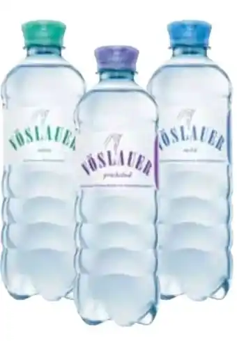 Transgourmet Vöslauer Mineralwasser Angebot