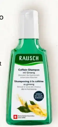 Prokopp Rausch Ginseng Coffein Shampoo Angebot