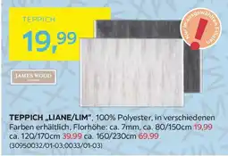 Möbelix Teppich „liane/lim Angebot