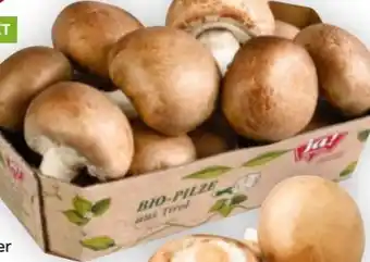 Billa ja!natürlich Bio Cremechampignons Angebot