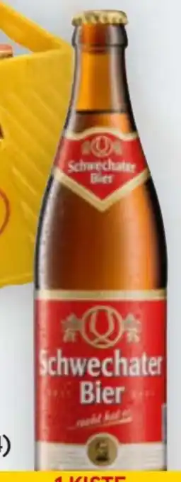 Billa Schwechater Bier Angebot