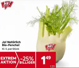 Billa Bio Fenchel Angebot