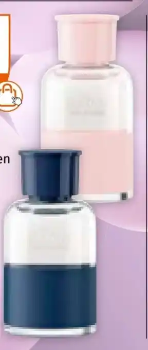 Müller S.Oliver So Pure Women EdT Angebot