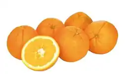 Transgourmet Orangen Angebot