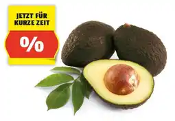 Hofer HOFER MARKTPLATZ Iss Reif! Avocado, 2 Stk Angebot