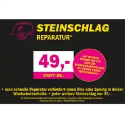 Forstinger STEINSCHLAG REPARATUR FORSTINGER Angebot