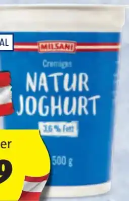 Hofer Milsani Naturjoghurt Angebot