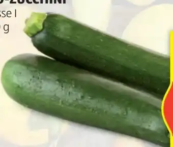 Hofer Hofer Marktplatz Bio-Zucchini Angebot