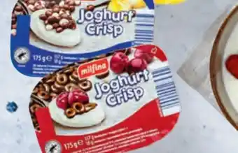 Hofer Milfina Joghurt Crisp Angebot