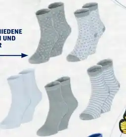 Hofer Up 2 Fashion Damen-Socken Angebot