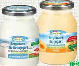 Spar Spar Natur pur Bergbauern Bio-Fruchtjogurt Angebot