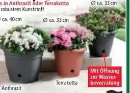 Norma Powertec Garden Blumentopf Flora Angebot