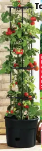 Norma Powertec Garden Tomatenturm Angebot