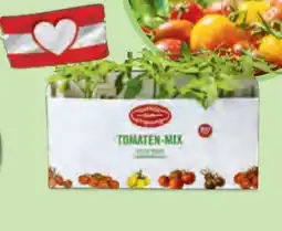 Hofer Zurück zum Ursprung Bio-Tomatenpflanzen Angebot